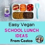 Easy Vegan Lunch Ideas From Costco
