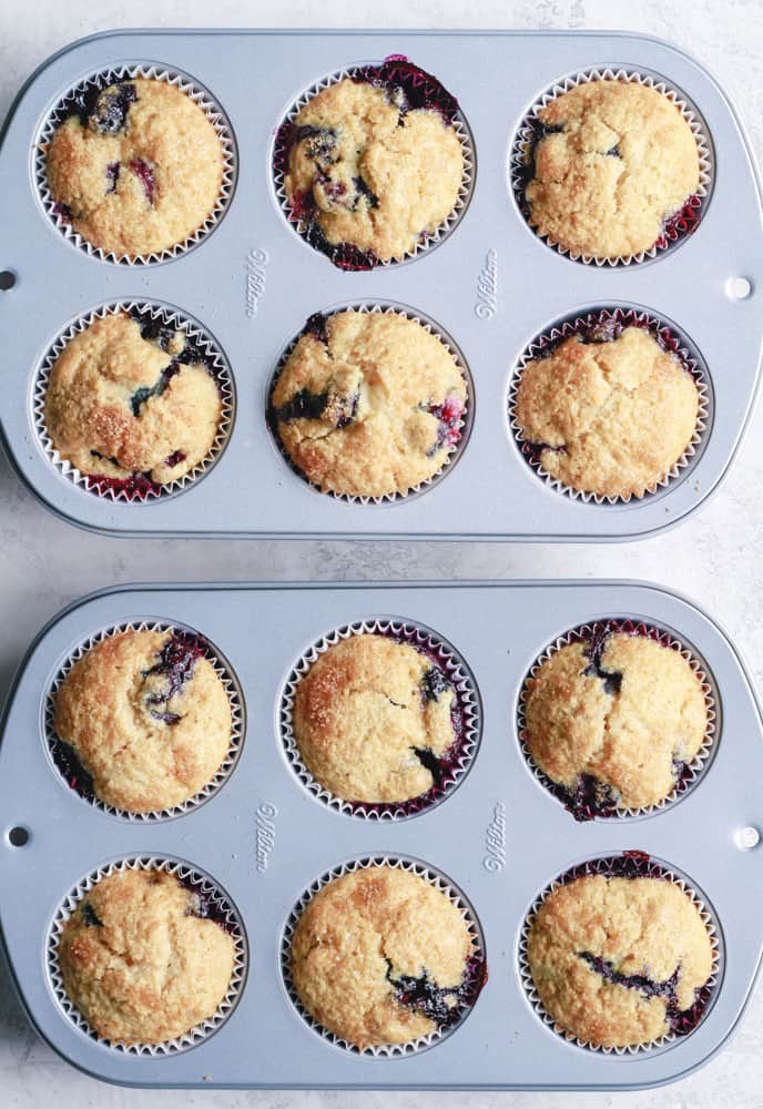 baked skinny vegan blueberry muffins