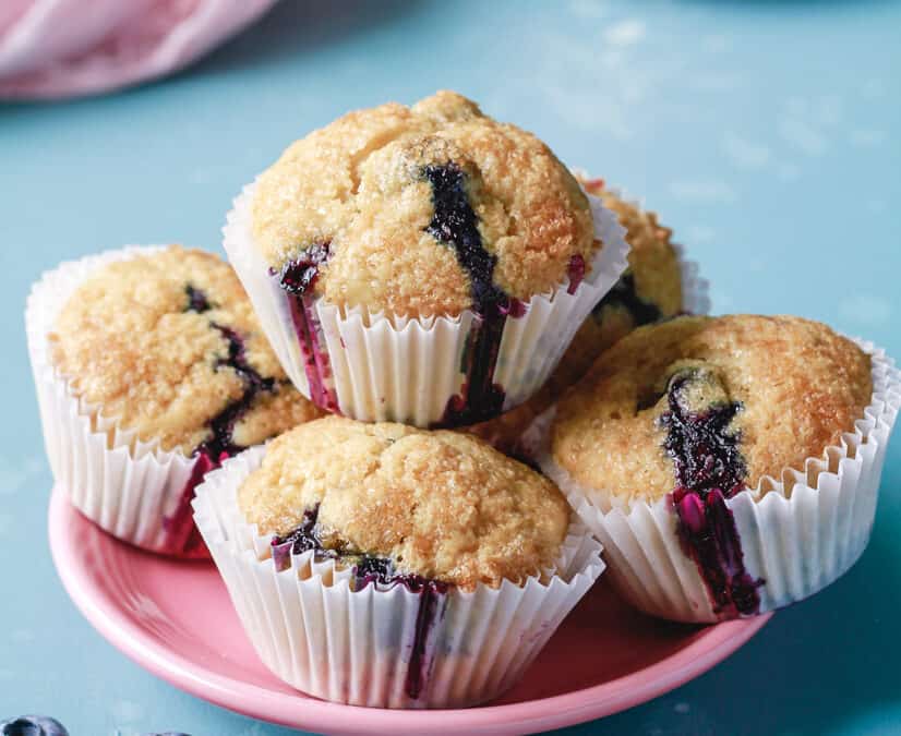 Skinny Vegan Blueberry Muffins