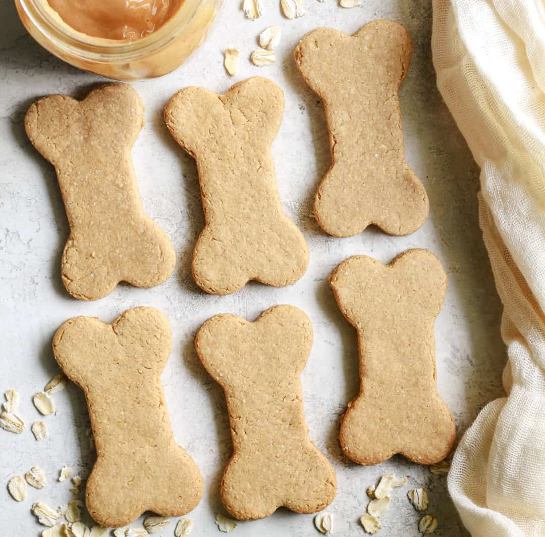 Homemade peanut butter dog treats made with oat flour