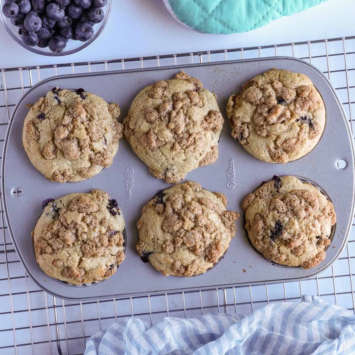 oat flour blueberry muffins with crumb topping in a muffin tray right after being baked