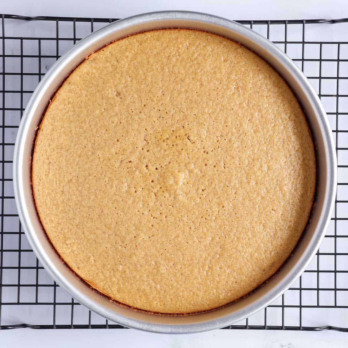 Baked healthy strawberry shortcake cake cooling in a 9-inch pan with a lightly golden top