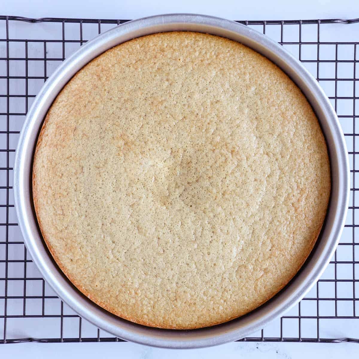 protein cake baked in pan