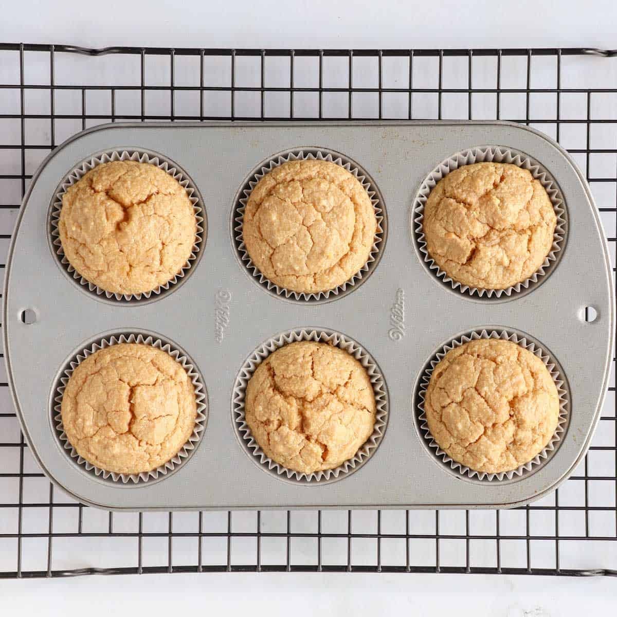 Dog muffins in the pan right out of the oven