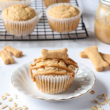 a peanut butter oat dog muffin topped with peanut butter drizzle on a white plate